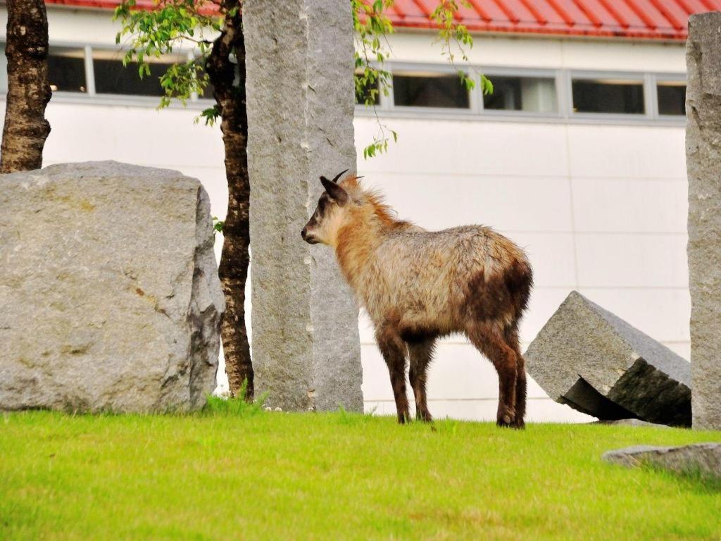 Tateyama Kokusai Hotel Toyama Station Dış mekan fotoğraf